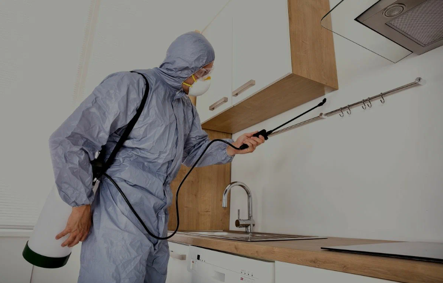 Antelope pest managment
